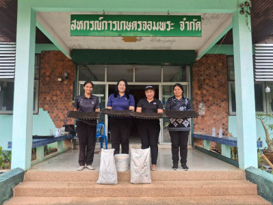 วันที่ 1 กันยายน 2569 ... พารามิเตอร์รูปภาพ 1