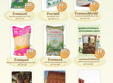 วันที่ 9 ธันวาคม 2566 ร่วมจัดรายการวิทยุ “เกษตรก้าวไกล ... พารามิเตอร์รูปภาพ 3