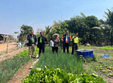 วันที่ 31 มกราคม 2567 ... พารามิเตอร์รูปภาพ 1