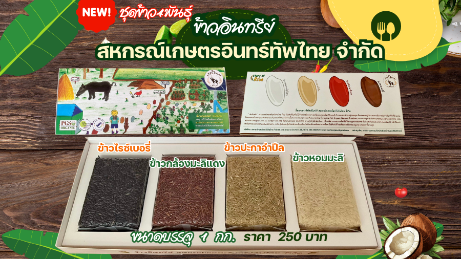 สินค้าข้าวสารอินทรีย์ ของสหกรณ์เกษตรอินทรีย์ทัพไทย จำกัด จังหวัดสุรินทร์